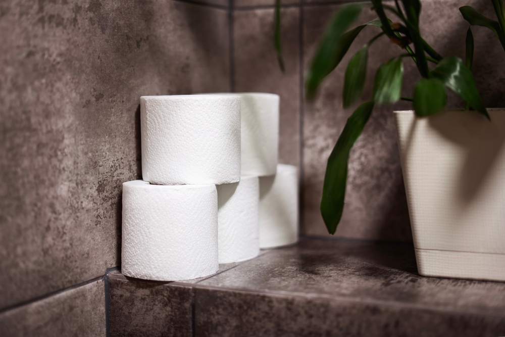 role de hartie igienica in baia unui salon